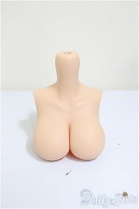 SmartDoll/デフォルト胸パーツ/0 A-25-09-03-313-TN-ZA