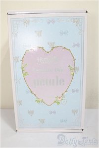 Harmonia bloom/ペタル/ A-25-09-10-102-TN-ZA