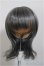 画像1: 8-9inch/ウィッグ/インチ　BJD　MJD　ドール用 A-25-09-10-240-TN-ZA (1)