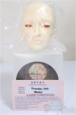 画像3: switch/taeheo/BJD　球体関節人形 A-25-09-10-104-TN-ZA