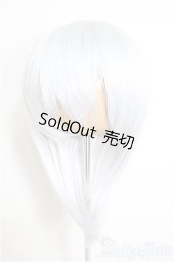 画像1: 8-9inch/ウィッグ/インチ　BJD　MJD　ドール用 A-25-09-03-330-TN-ZA