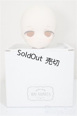 画像6: DDH-01/raimuneca様カスタム/BJD　球体関節人形 A-25-09-10-120-NY-ZA