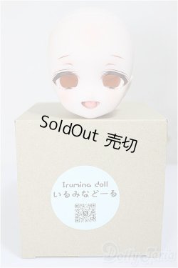 画像5: DDH-27/いるみなどーる様カスタム/BJD　球体関節人形 A-25-09-10-138-NY-ZA