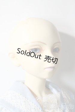 画像6: SD13男の子/セシル　C3ドルパ U-25-10-14-220-NY-ZU