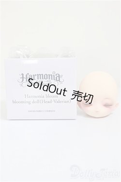 画像4: Harmonia bloom/カスタムヘッド アネモネ様カスタム/0 A-25-09-10-210-NY-ZA