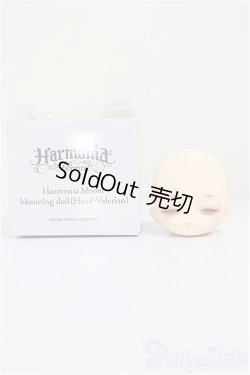 画像4: Harmonia bloom/カスタムヘッド アネモネ様カスタム/0 A-25-09-10-211-NY-ZA