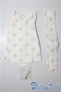 SDGrG/OF:ワンピース U-25-09-30-036-NY-ZU