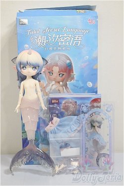 画像4: ANTU/潮の秘語:黎明/ A-25-09-17-105-NY-ZA
