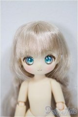 SugarCups/ビスケティーナ: 〜Star Sprinkles〜［二次生産分］/0 A-25-09-17-114-NY-ZA