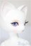 画像2: DEAR MINE/DANNA H. ~Cozy~ A-25-09-10-391-NY-ZA (2)