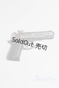 SD/OF:銃/0 A-25-09-24-066-NY-ZA