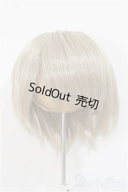 画像1: 8-9inch/ウィッグ/インチ　BJD　MJD　ドール用 A-25-11-19-397-NY-ZA