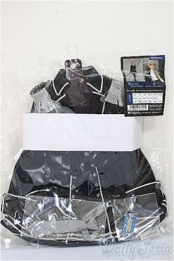 画像1: SD/OF:VOLKS シルバーブラックセット A-25-09-10-388-NY-ZA