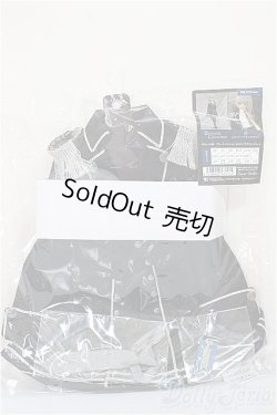 画像1: SD/OF:VOLKS シルバーブラックセット A-25-09-10-388-NY-ZA