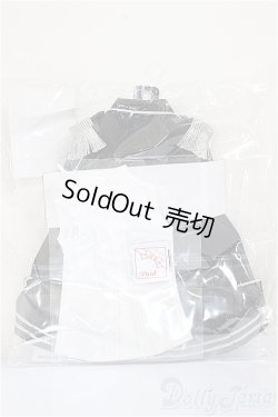 画像2: SD/OF:VOLKS シルバーブラックセット A-25-09-10-388-NY-ZA