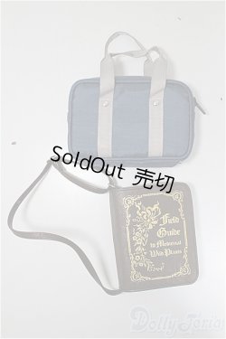 画像1: SD/OF:衣装セット A-25-09-10-381-NY-ZA