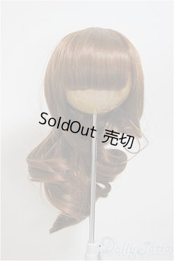 画像1: 9-10inch/ウィッグ/インチ　BJD　MJD　ドール用 A-25-09-17-220-NY-ZA