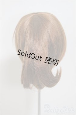 画像3: 9-10inch/ウィッグ/インチ　BJD　MJD　ドール用 A-25-09-17-224-NY-ZA