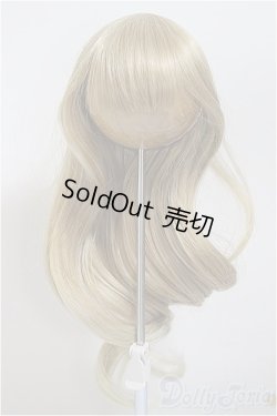 画像1: 9-10inch/ウィッグ/インチ　BJD　MJD　ドール用 A-25-09-17-223-NY-ZA