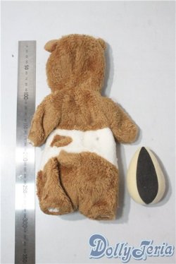 画像2: 幼SD/OF:ゴールデンハムスターセット U-25-09-16-162-NY-ZU