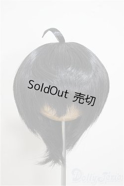 画像1: 9inch/ウィッグ/インチ　BJD　MJD　ドール用 A-25-09-17-203-NY-ZA