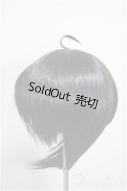 画像2: 9inch/ウィッグ/インチ　BJD　MJD　ドール用 A-25-09-17-203-NY-ZA