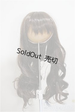 画像1: 9-10inch/ウィッグ/インチ　BJD　MJD　ドール用 A-25-09-17-202-NY-ZA