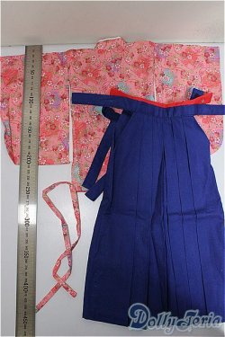 画像2: DD/OF:衣装セット/0 A-25-09-17-135-NY-ZA