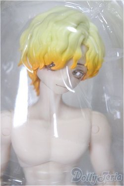 画像1: 悸動瞬息 シチリアの追憶/西西里往事 エドアルド ゴールデンレトリバー A-25-09-17-381-NY-ZA