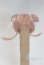 画像1: 4inch/ウィッグ/インチ　BJD　MJD　ドール用 A-25-10-01-040-NY-ZA (1)