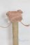 画像2: 4inch/ウィッグ/インチ　BJD　MJD　ドール用 A-25-10-01-046-NY-ZA (2)