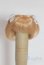 画像1: 4inch/ウィッグ/インチ　BJD　MJD　ドール用 A-25-10-01-041-NY-ZA (1)