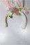 画像3: MDD/OF:衣装セット/0 A-25-09-24-231-NY-ZA (3)