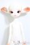 画像2: Dollzone/Miss Kitty/BJD　球体関節人形 A-25-09-24-151-NY-ZA (2)