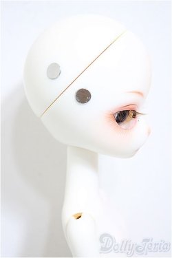 画像6: Dollzone/Miss Kitty/BJD　球体関節人形 A-25-09-24-151-NY-ZA