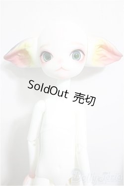 画像2: DOLLZONE/Miss kitty - 猫メイド ver. Limited/BJD　球体関節人形 A-25-09-24-152-NY-ZA