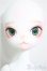 画像3: DOLLZONE/Miss kitty - 猫メイド ver. Limited/BJD　球体関節人形 A-25-09-24-152-NY-ZA