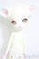 画像2: DOLL ZONE/Mini Kitty　newyear2020/BJD　球体関節人形 A-25-09-24-153-NY-ZA (2)