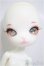 画像3: DOLL ZONE/Mini Kitty　newyear2020/BJD　球体関節人形 A-25-09-24-153-NY-ZA
