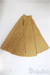 DD/OF:スカート/0 A-25-09-24-172-NY-ZA