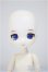 画像1: DOLLCE/ミニスウィーツドール:スノーローズマリー/ A-25-09-24-335-NY-ZA (1)
