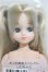 画像1: リカちゃんキャッスル/リカちゃん　ツーテール系　お人形教室スペシャル/BJD　球体関節人形 A-25-10-01-117-NY-ZA (1)