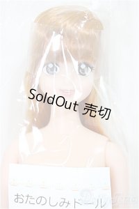 リカちゃんキャッスル/おたのしみドール:AGカーナ/BJD　球体関節人形 A-25-10-01-116-NY-ZA