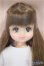 画像1: リカちゃんキャッスル/マイちゃん(No.12769):2024年10月リカちゃん＆フレンズクラブ/BJD　球体関節人形 A-25-10-01-115-NY-ZA (1)