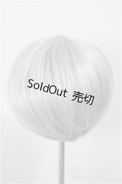 画像2: 8-9inch/ウィッグ/インチ　BJD　MJD　ドール用 A-25-10-01-215-NY-ZA