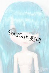 プーリップ/初音ミク/0 A-25-10-01-251-NY-ZA