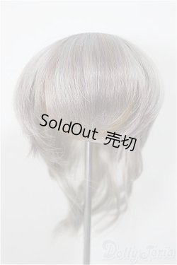 画像1: 7-8inch/ウィッグ/インチ　BJD　MJD　ドール用 A-25-10-01-220-NY-ZA