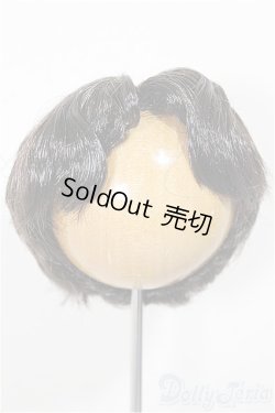 画像1: 7-8inch/ウィッグ/インチ　BJD　MJD　ドール用 A-25-10-01-213-NY-ZA