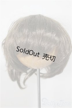 画像1: 8.5-9inch/ウィッグ/インチ　BJD　MJD　ドール用 A-25-10-01-221-NY-ZA