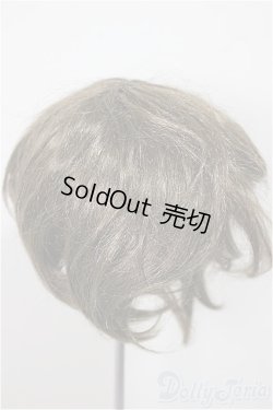 画像2: 8.5-9inch/ウィッグ/インチ　BJD　MJD　ドール用 A-25-10-01-221-NY-ZA